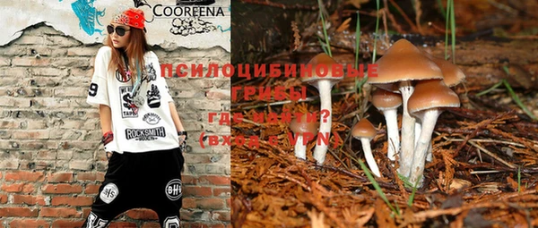 героин Козловка