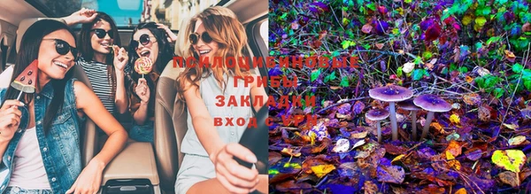 стаф Киреевск