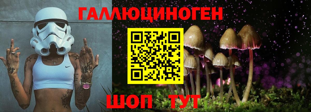 Галлюциногенные грибы Psilocybine cubensis  Псилоцибиновые грибы ЛСД  Спасск-Дальний 